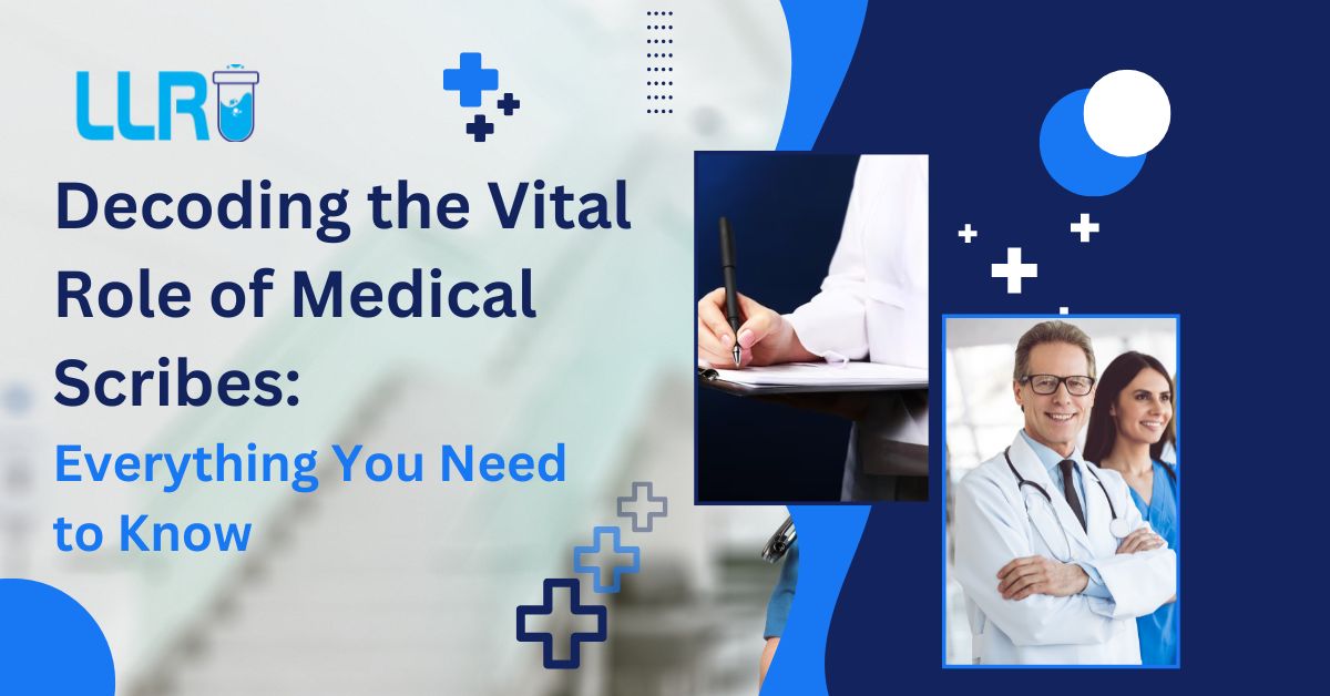 What Is A Medical Scribe   Add A Heading 6 