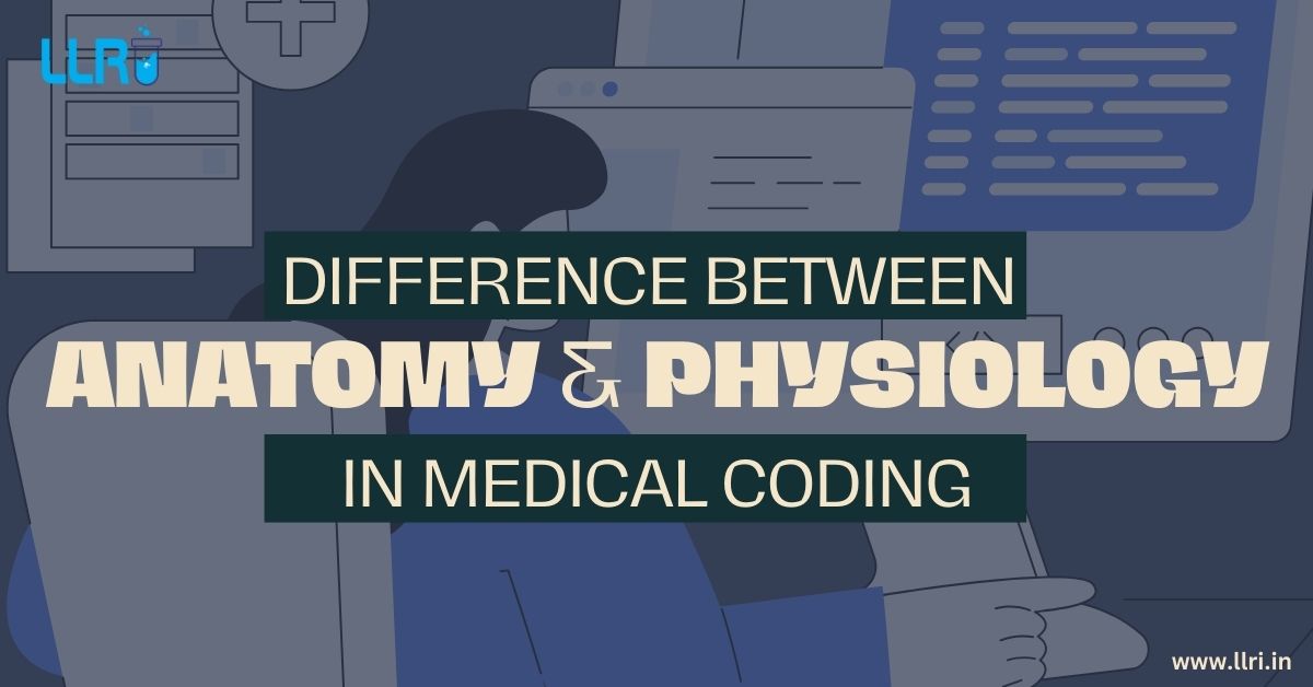 difference between anatomy and physiology