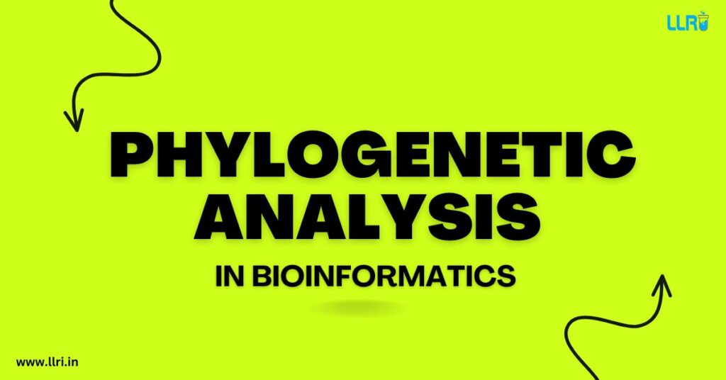 Phylogenetic Analysis In Bioinformatics