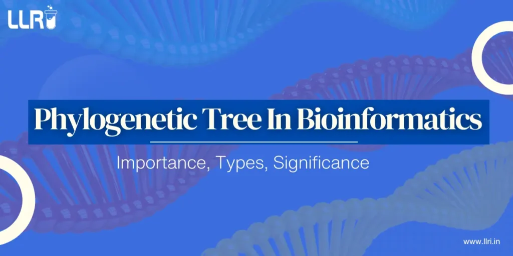 phylogenetic tree in bioinformatics