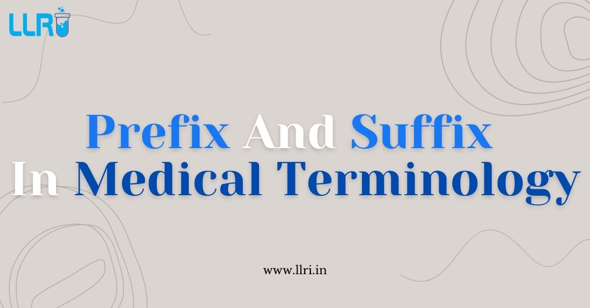 prefix and suffix in medical terminology