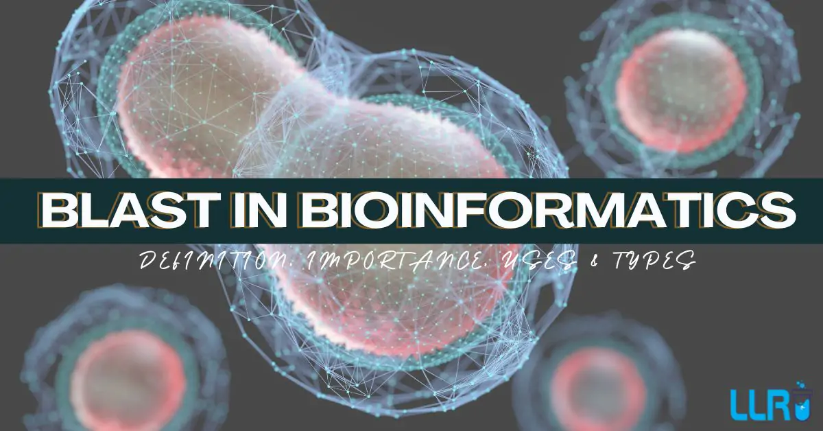 what is blast in bioinformatics