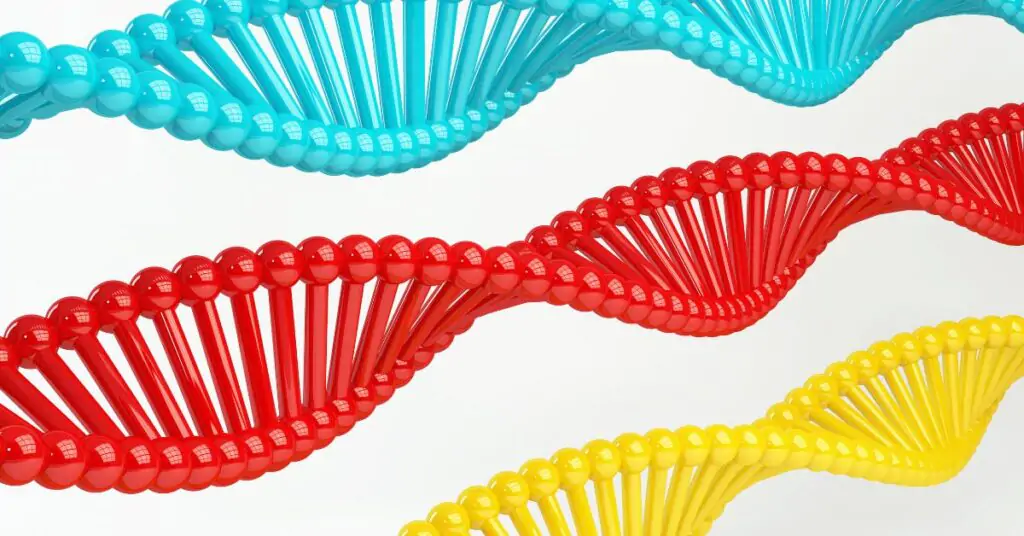 What Is BLAST In Bioinformatics: Definition, Importance, Uses & Types 2 what is blast in bioinformatics