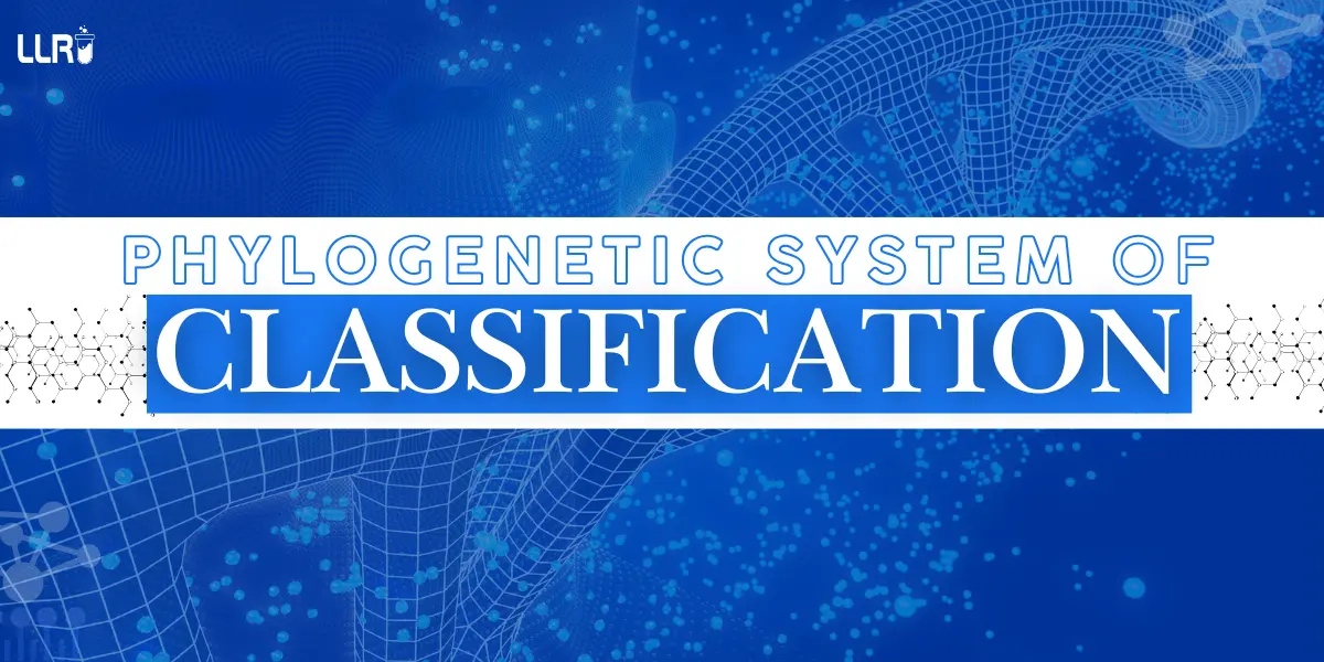 Phylogenetic System Of Classification