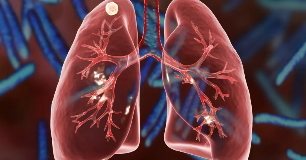 what is the function of the respiratory system