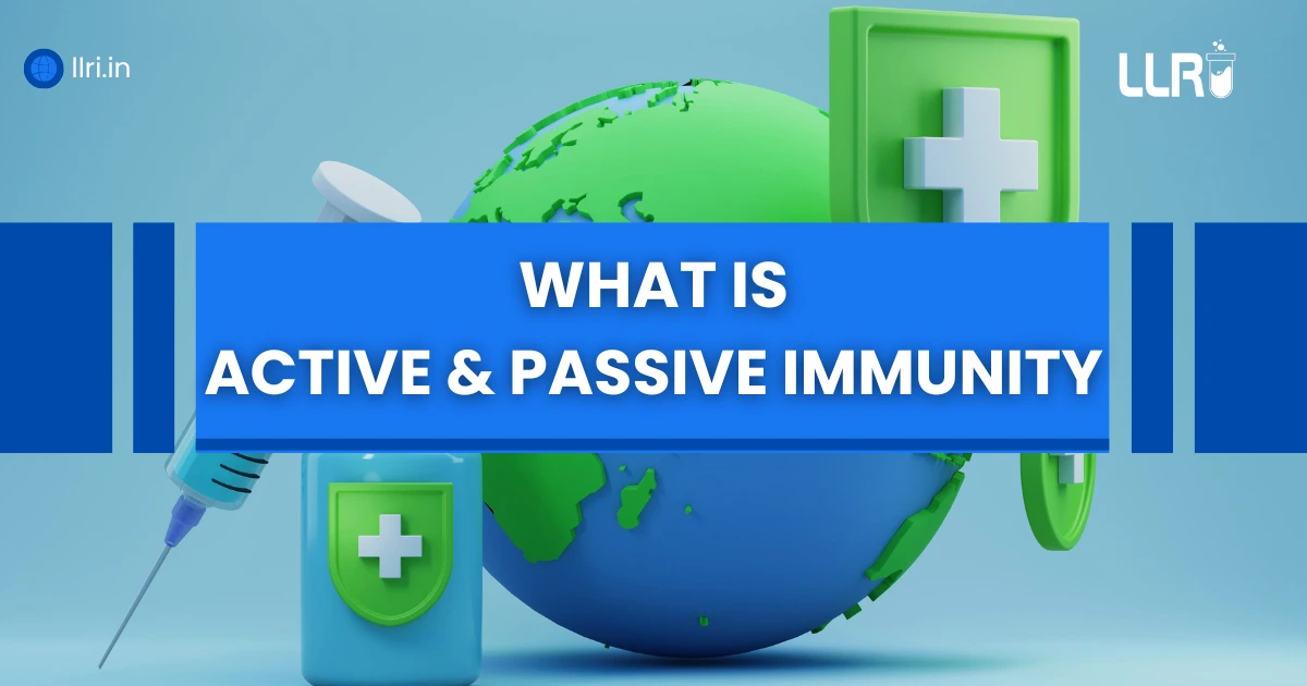 Active and Passive Immunity: Types, and Examples Explained