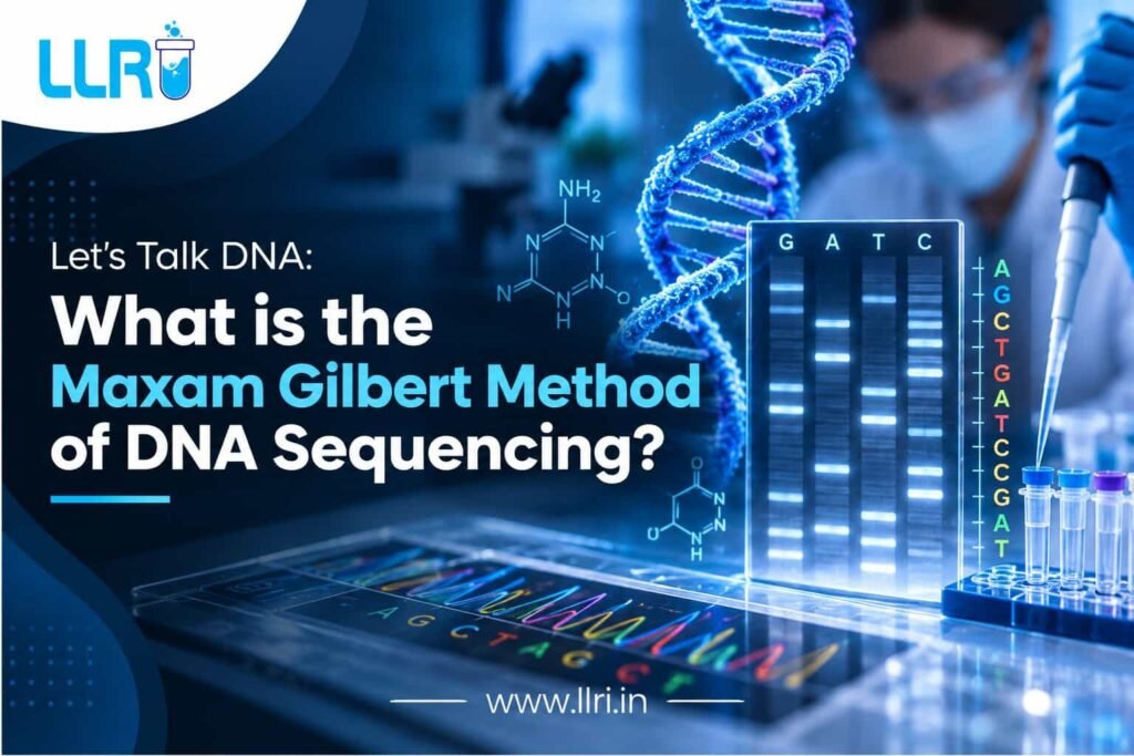 What is the Maxam Gilbert Method of DNA Sequencing