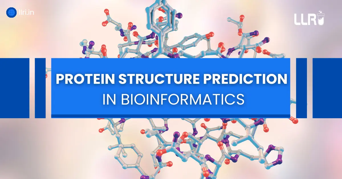 Protein Structure Prediction in Bioinformatics: Methods and Tools Explained