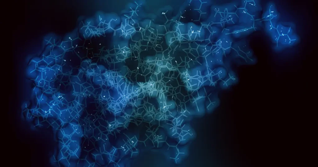 protein structure prediction in bioinformatics