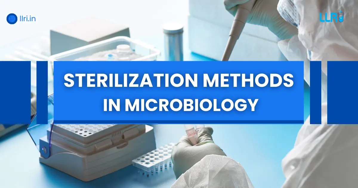 Sterilization Methods in Microbiology: Practical Guide for Labs & Students