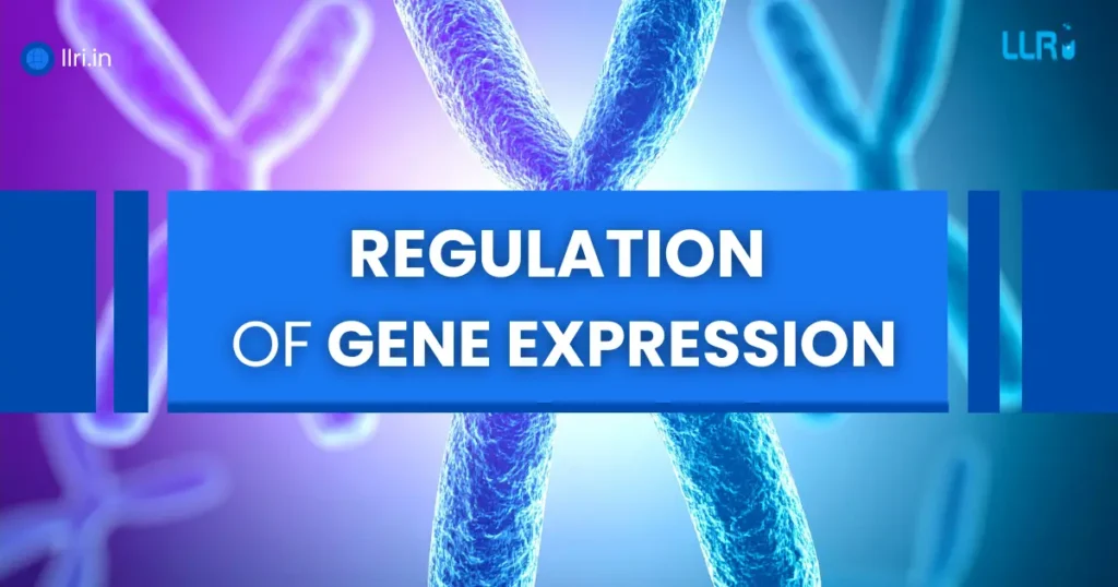 regulation of gene expression