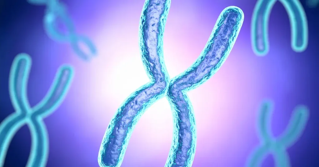 Regulation of Gene Expression: Mechanisms, Types Explained 3 regulation of gene expression