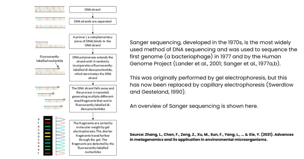 Sanger Method of DNA Sequencing: Principle, Steps, & Flow Chart 5 sanger method of DNA sequencing 1