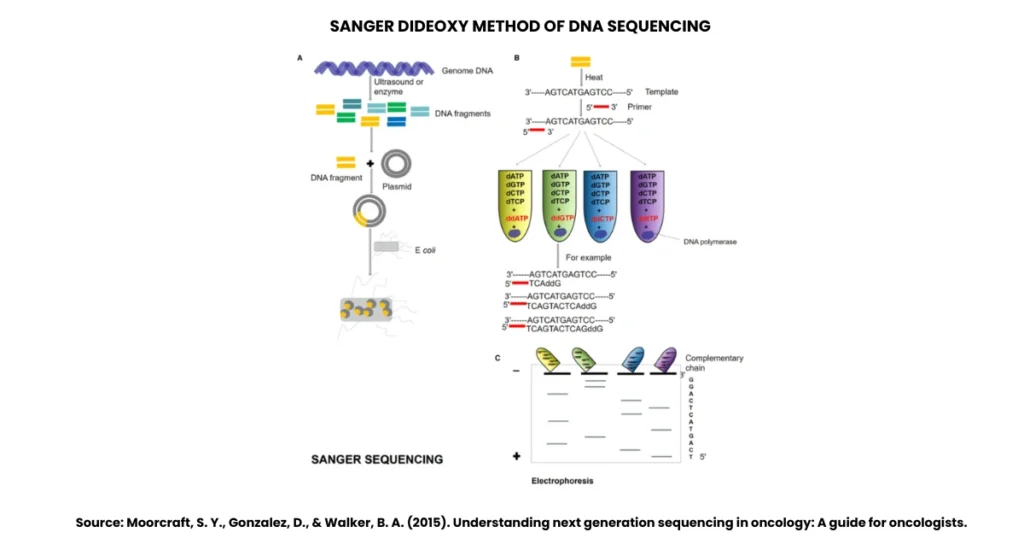 Sanger Method of DNA Sequencing: Principle, Steps, & Flow Chart 3 Sanger Method of DNA Sequencing