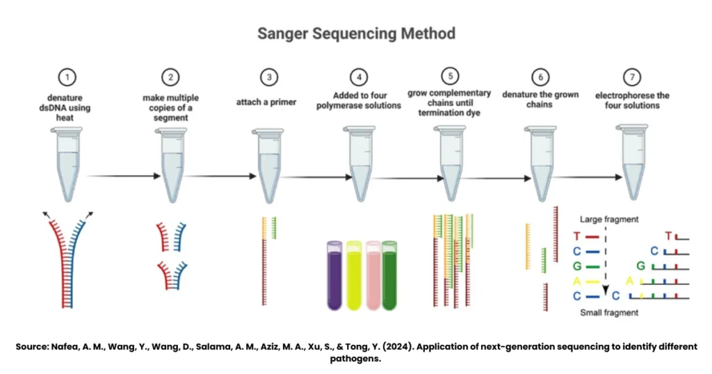 Sanger Method of DNA Sequencing: Principle, Steps, & Flow Chart 1 Sanger Method of DNA Sequencing
