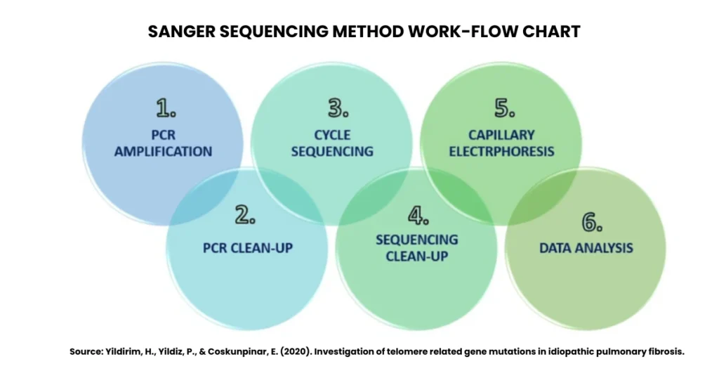 Sanger Method of DNA Sequencing: Principle, Steps, & Flow Chart 4 Sanger Method of DNA Sequencing