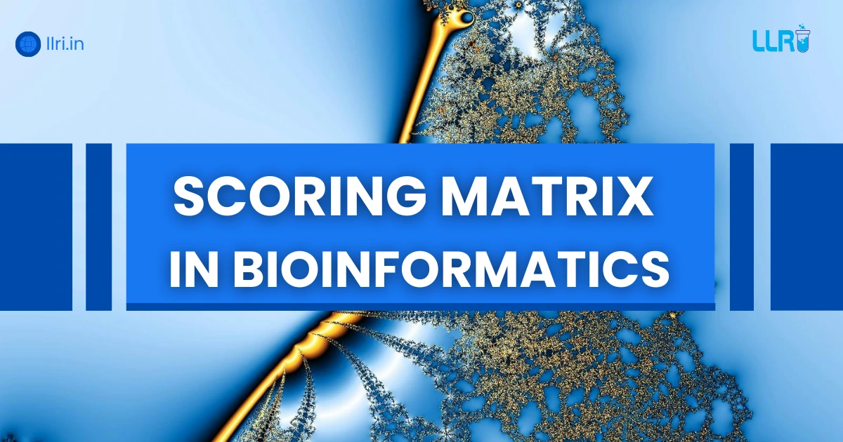 scoring matrix in bioinformatics