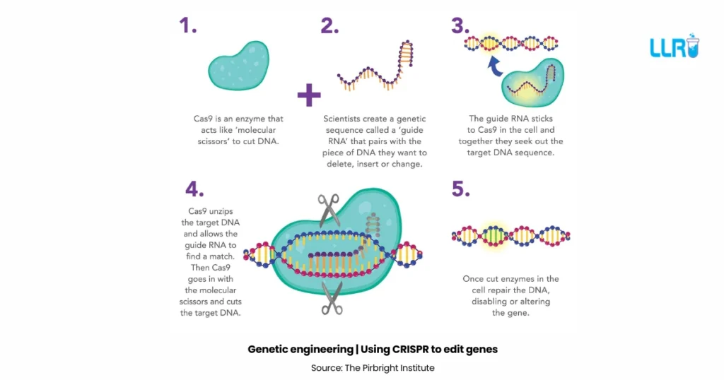 What is Genetic Engineering: Meaning, Principles n More 1 What is Genetic Engineering