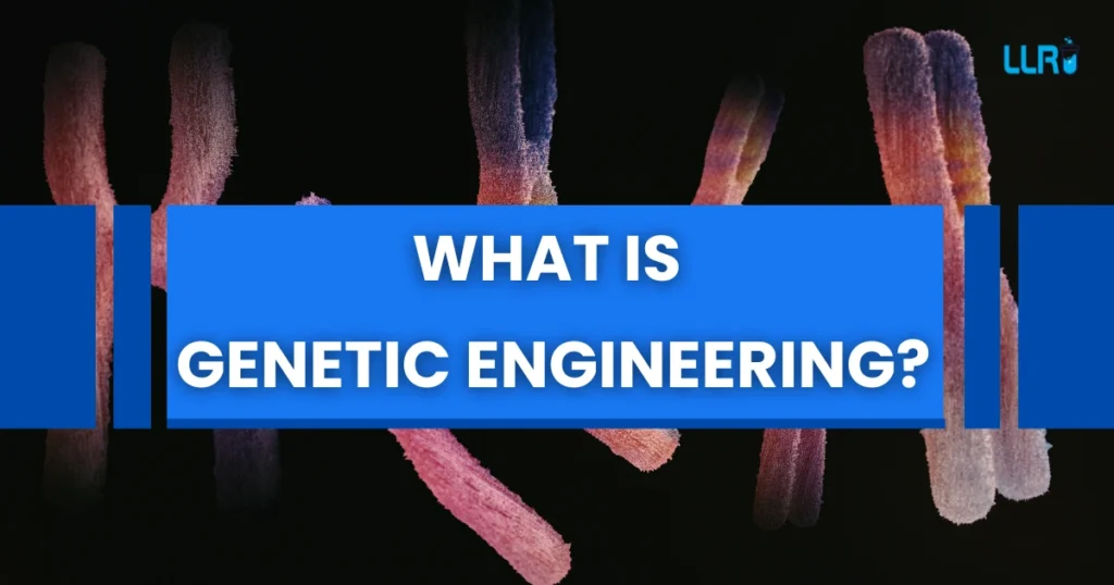 what is genetic engineering