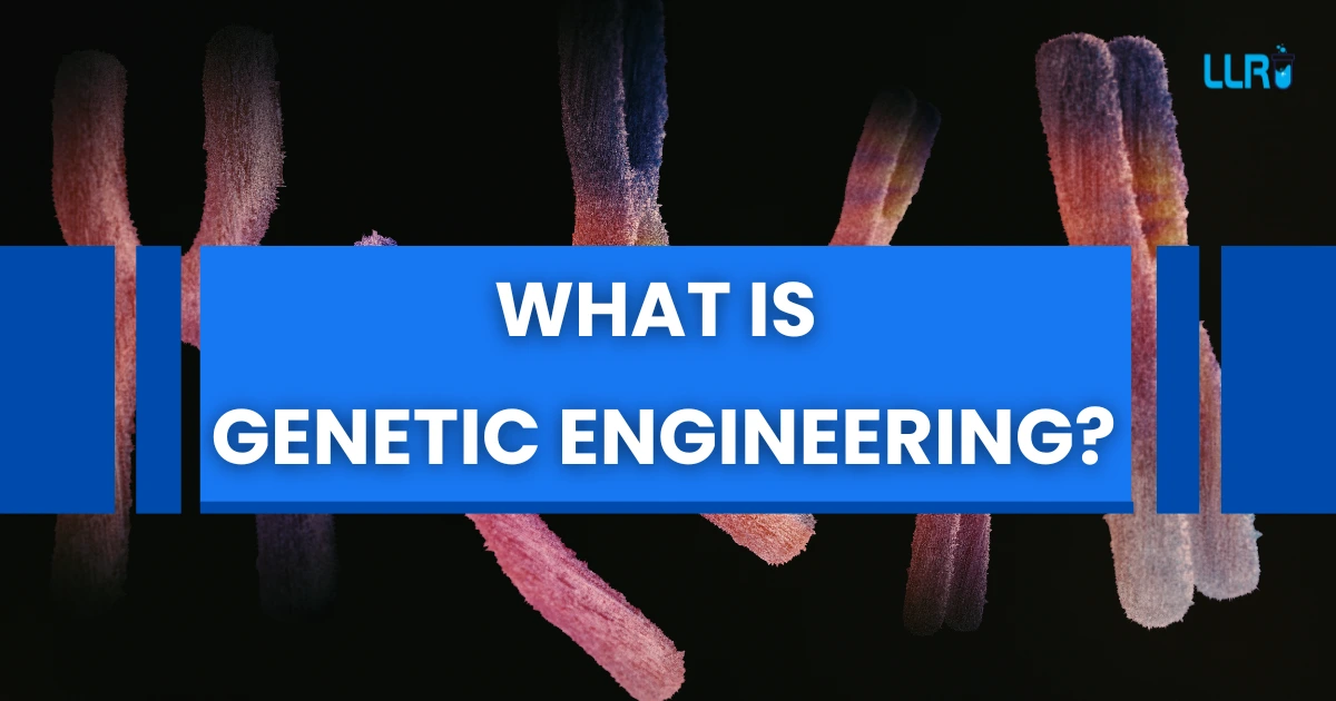 What is Genetic Engineering: Meaning, Principles n More