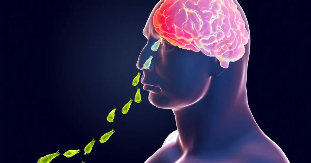kerala brain eating amoeba