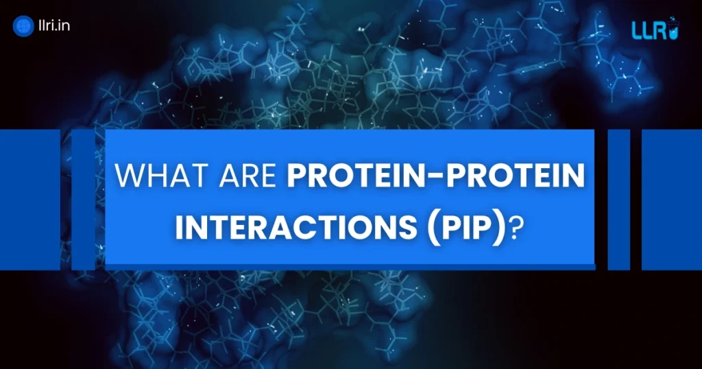 What Is Protein-Protein Interaction Database? Its Types 1 protein-protein interaction database
