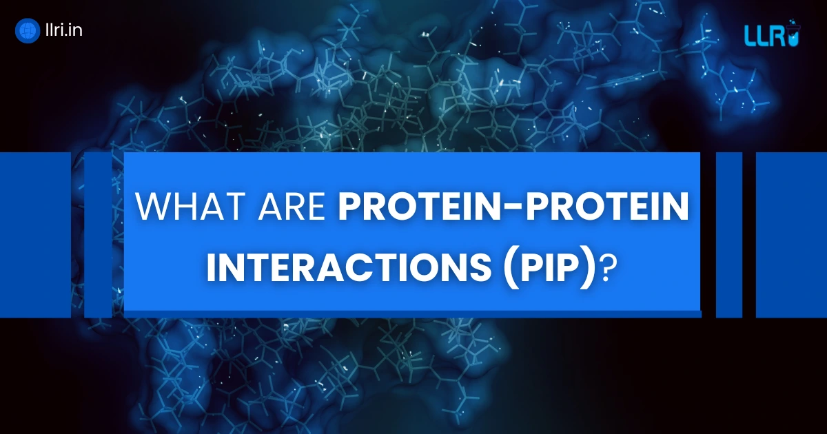 What Is Protein-Protein Interaction Database? Its Types