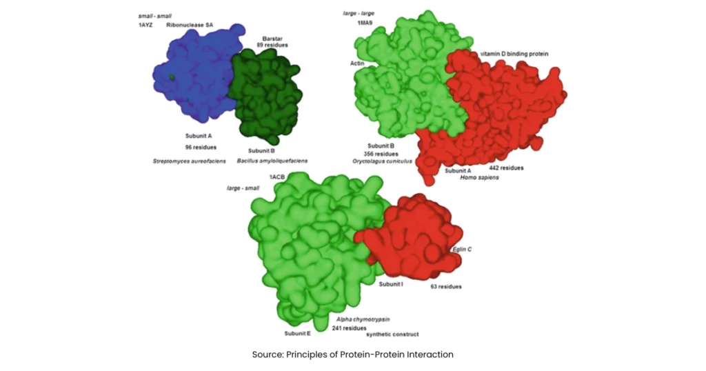 What Is Protein-Protein Interaction Database? Its Types 2 protein-protein interaction database
