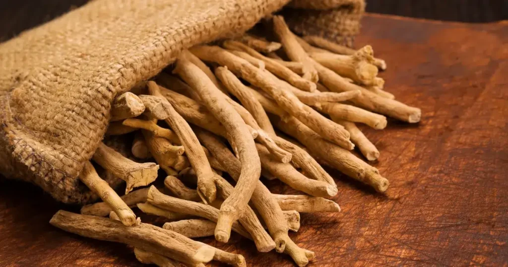 5 Medicinal Plants and Their Uses