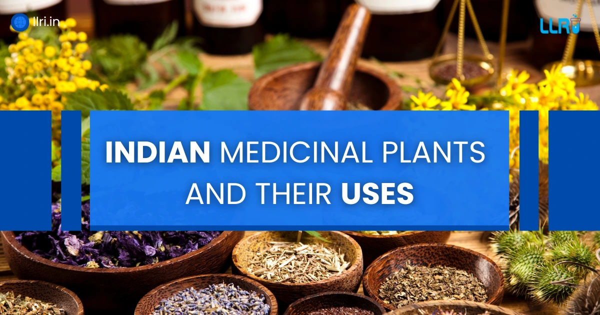 5 medicinal plants and their uses