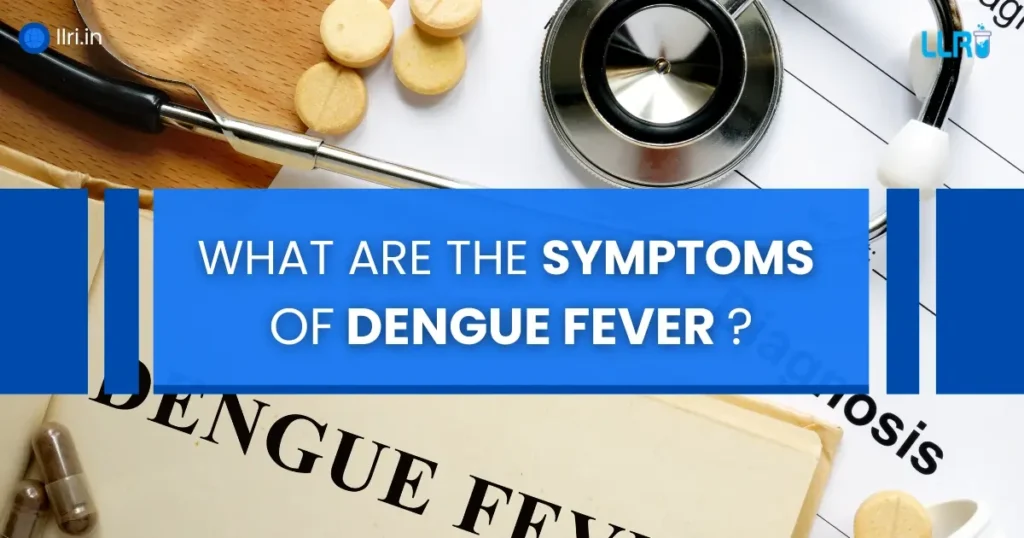 What Are the Symptoms of Dengue Fever: Everything You Need To Know 10 what are the symptoms of dengue fever