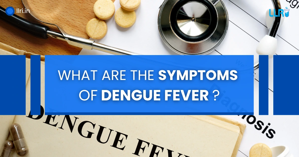 what are the symptoms of dengue fever