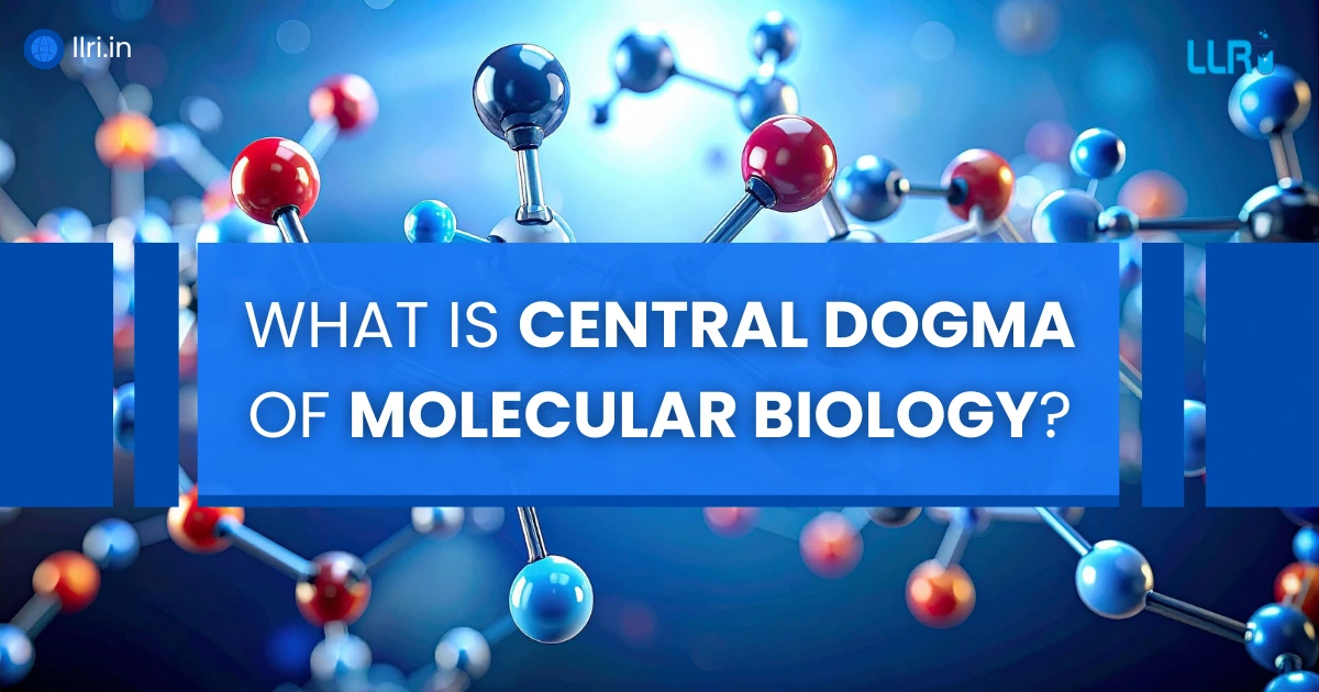 What Is Central Dogma of Molecular Biology? Flow Chart & Steps In Order 2 What Is Central Dogma of Molecular Biology? Flow Chart & Steps In Order