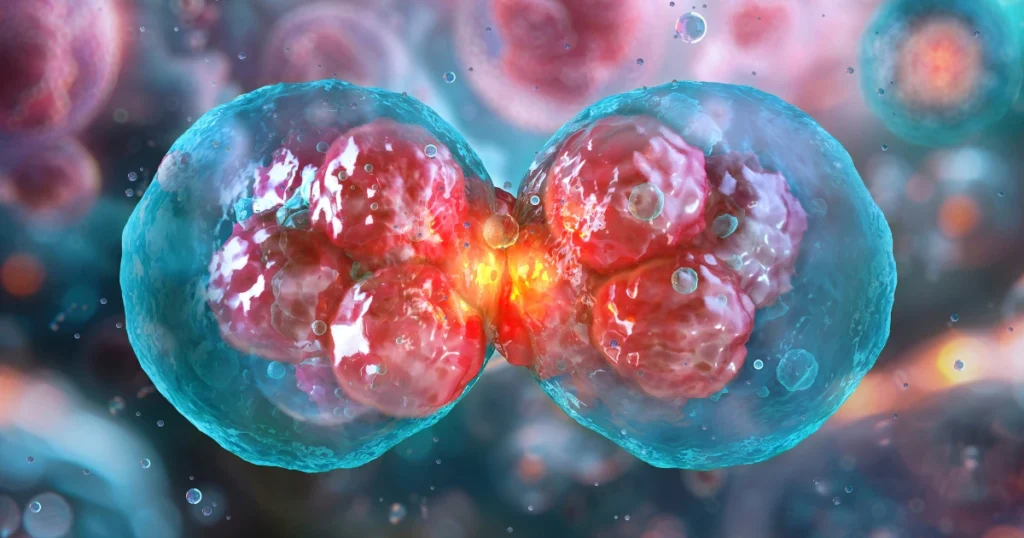 Genome Organisation in Eukaryotes: Structure, Nucleus, Cell Types & Size 2 genome organisation in eukaryotes