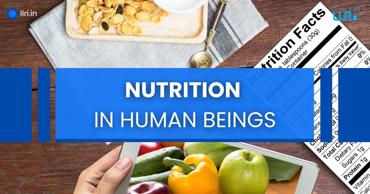 Nutrition in Human Beings: Process, Steps, and Mode Explained with Diagram