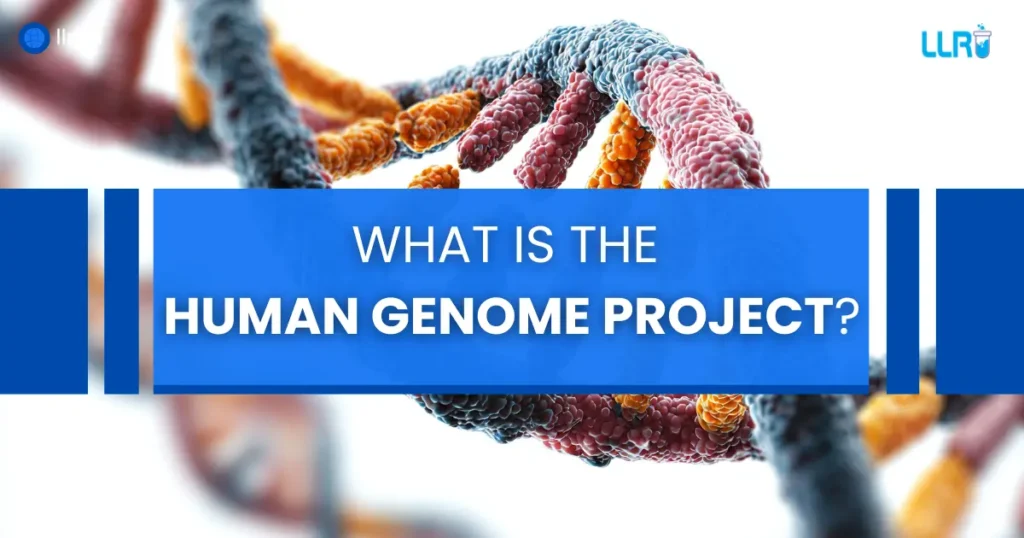 what is the human genome project