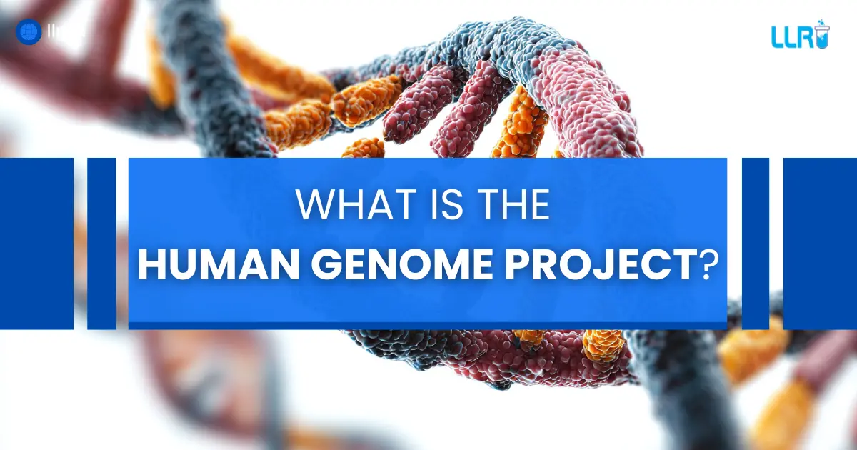 what is the human genome project