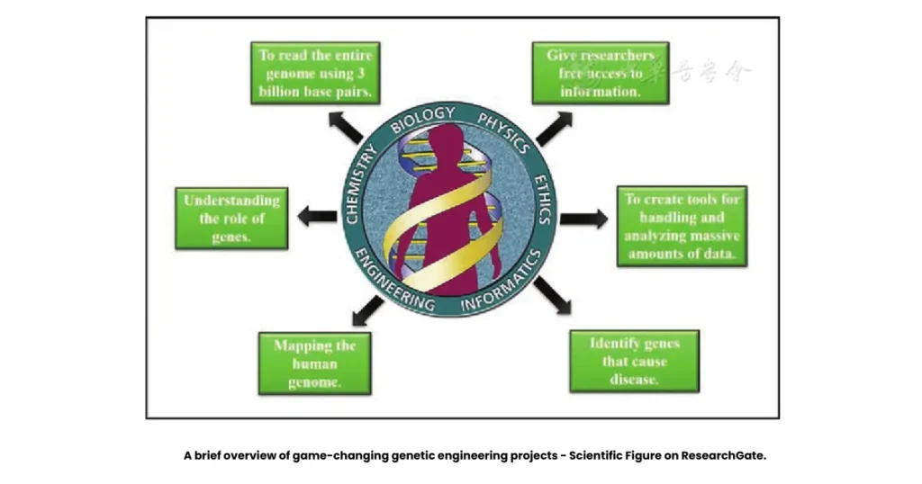 What is the Human Genome Project? Goals, Diagram, Cost, Benefits 2 what is the human genome project